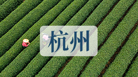 杭州卖家交流群