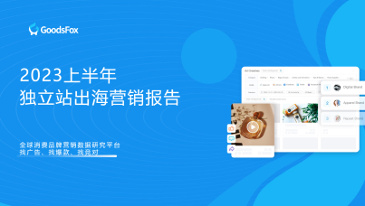 2023上半年独立站出海营销报告