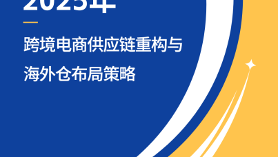 2025 年跨境电商供应链重构与海外仓布局策略报告