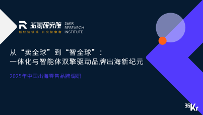 2025年中国出海零售品牌调研报告