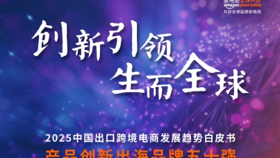 2025中国出口跨境电商发展趋势白皮书-产品创新出海品牌五十强