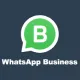 WhatsApp Business广告（Whatsapp Ads）
