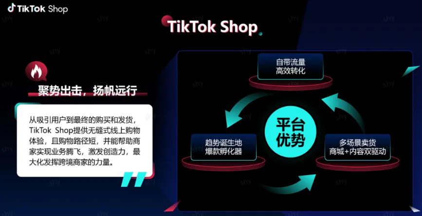 TikTok Shop跨境东南亚入驻指南- 大数跨境